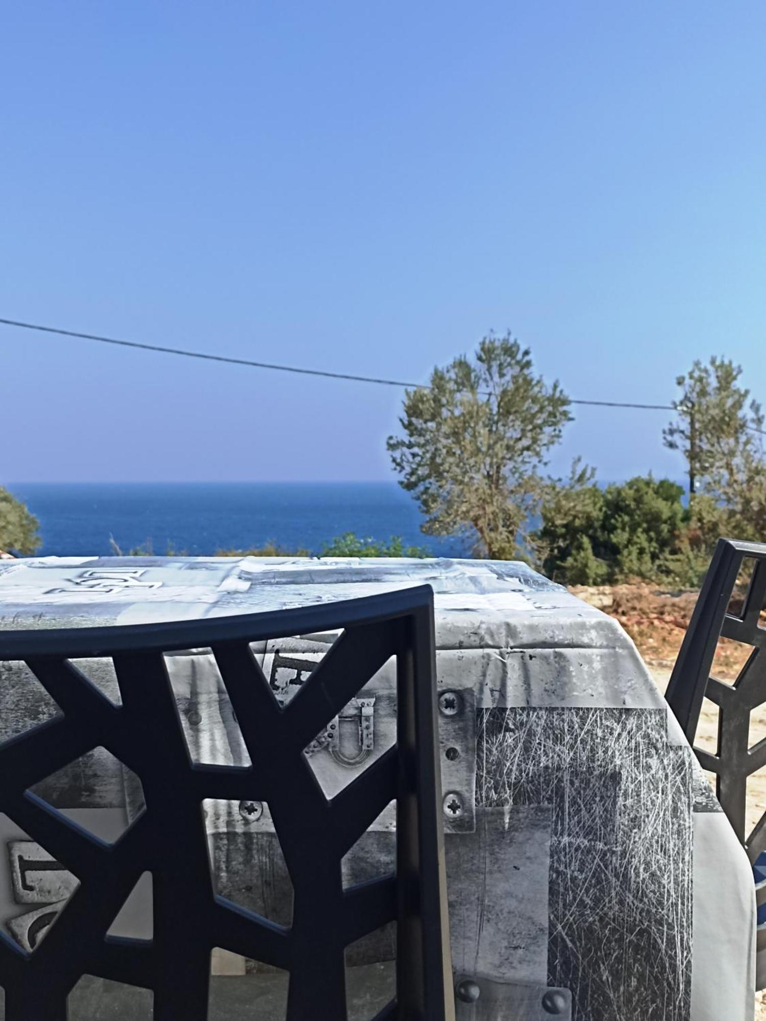 Agria Rigani Studios Samos Town Exterior photo