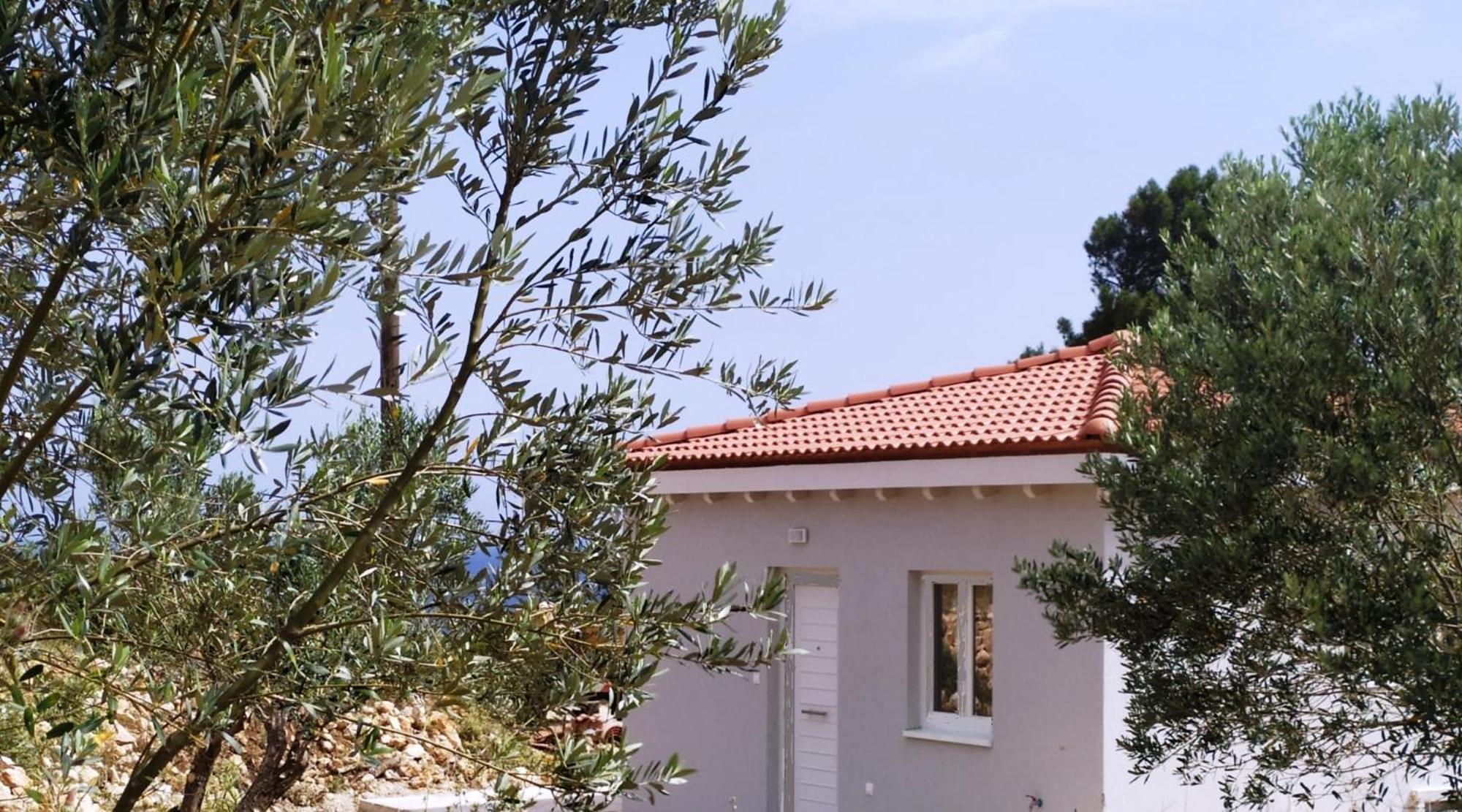 Agria Rigani Studios Samos Town Exterior photo